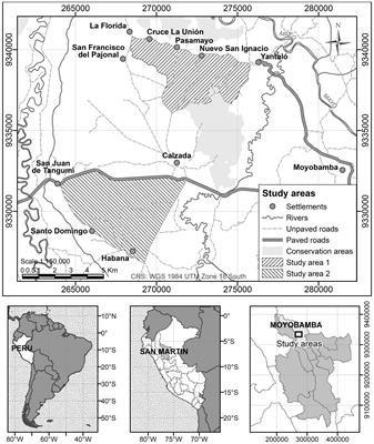 Characterization of forest fragments occupied by the critically endangered and endemic San Martín titi monkey (Plecturocebus oenanthe)